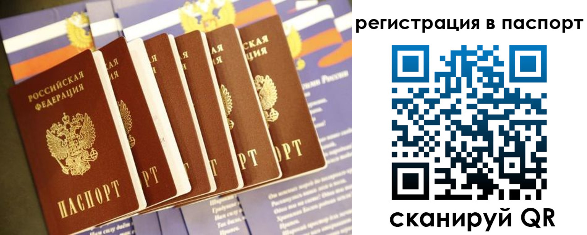 прописка ребенка в Дмитрове